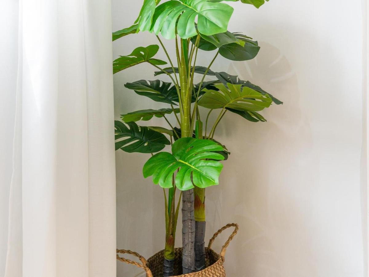 Gorgeous Renovated 2br Ac Apartment Malaga