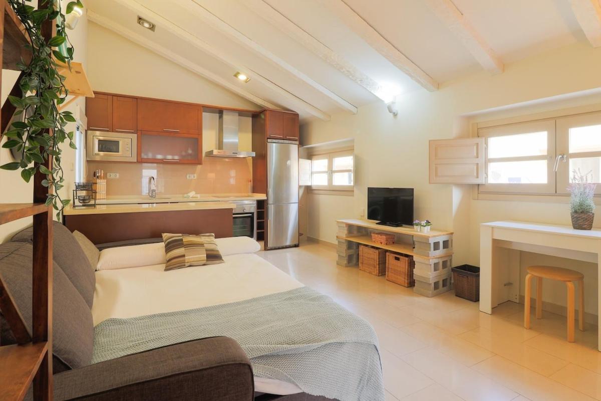 C28 - Mitjana Luminous Penthouse Apartamento