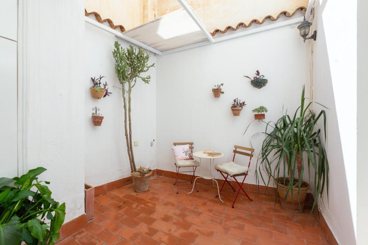 Apartamento With Two Bedrooms And A Patio
