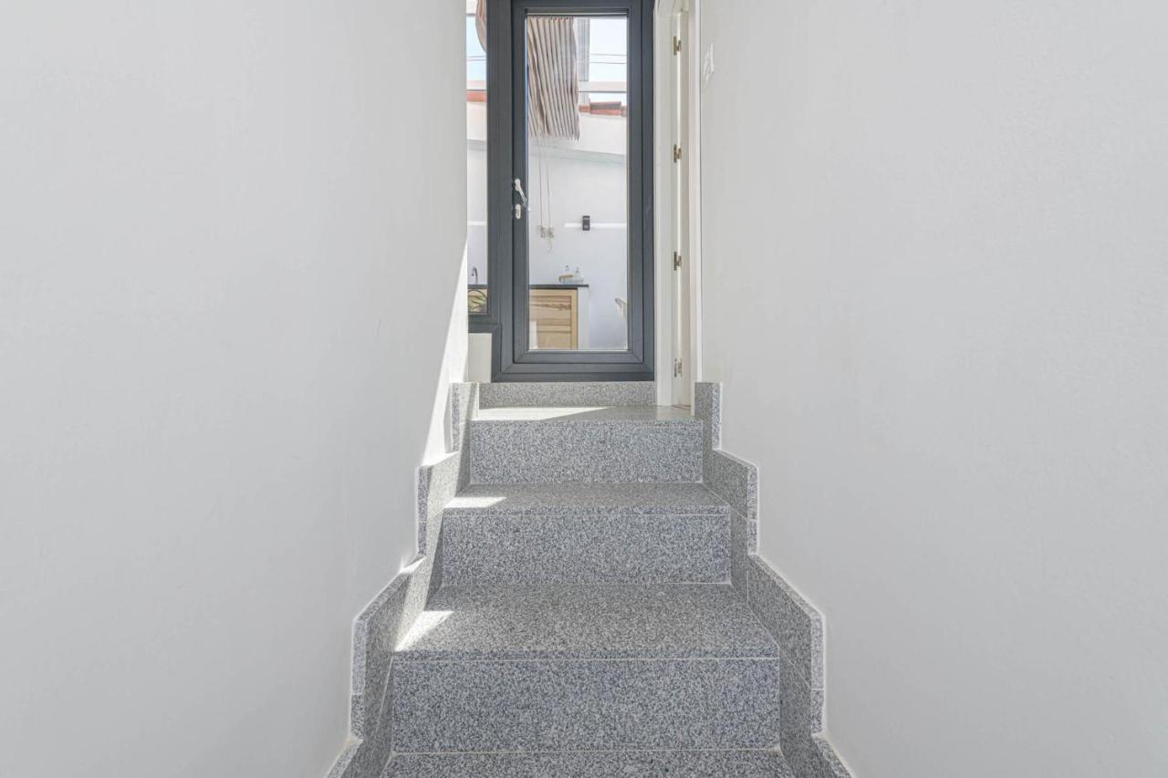 Chinchilla In By Solaga Homes *
