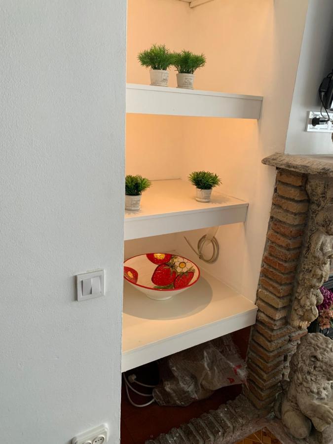 Mooi En Erg Ruim Met Openhaard Apartment