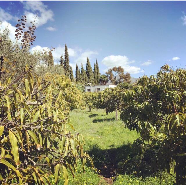 Stunning 3 Bed Finca With Attached 2 Bed Casita With Sea And Mountain Views *