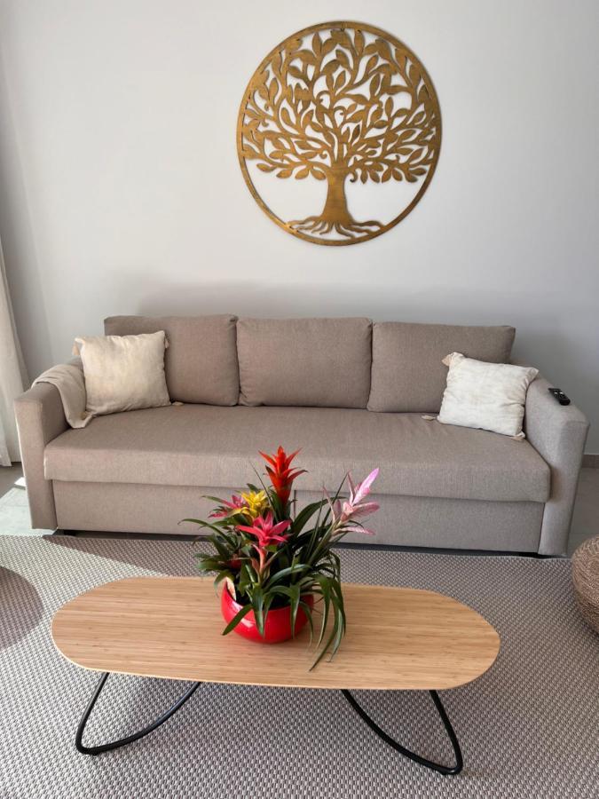 Tropical Penthouse With Big Roof Terrace Apartment Malaga