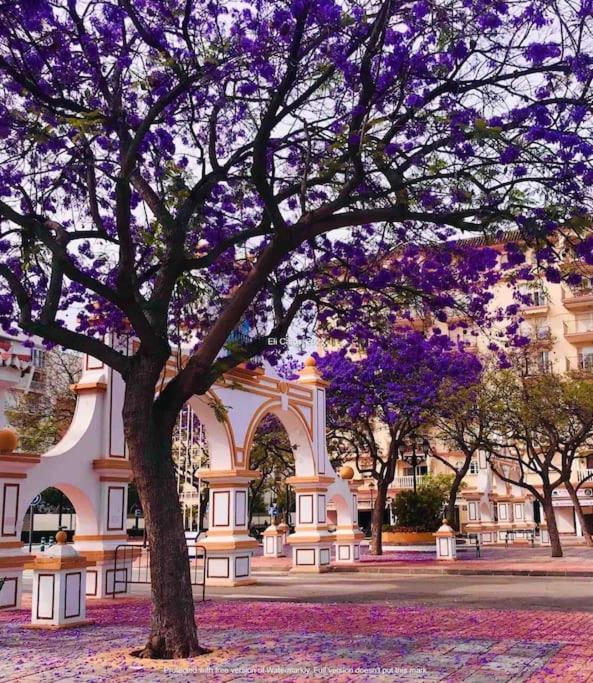 Higueronrentals Bahia Apartamento Málaga