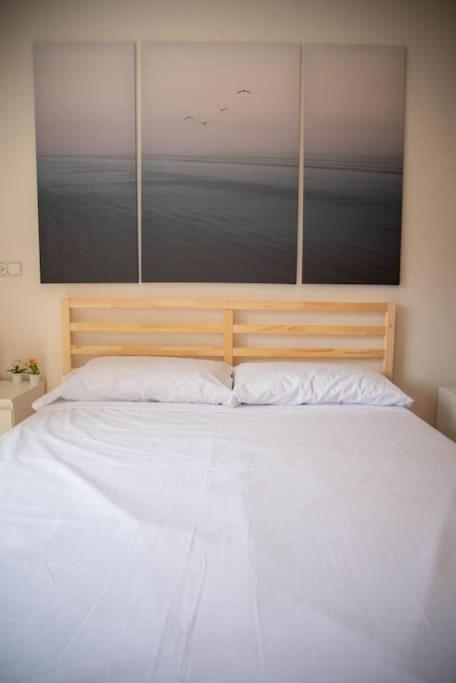 Apartamento Piso Con Jardín *
