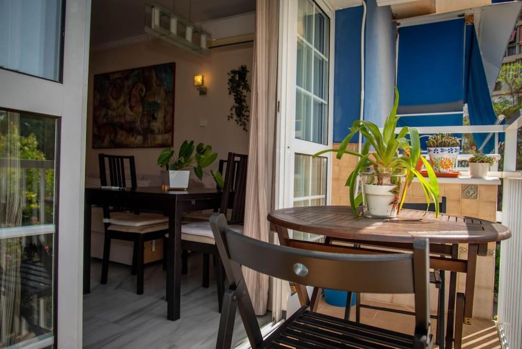 Apartamento Piso Con Jardín