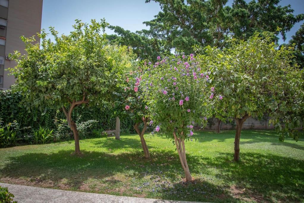 Piso Con Jardín Málaga