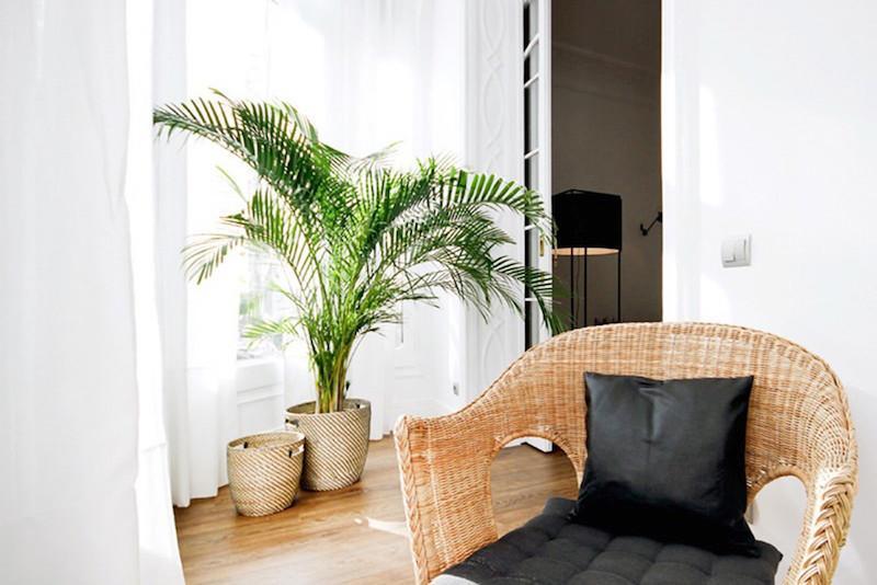 Andes Apartment Malaga