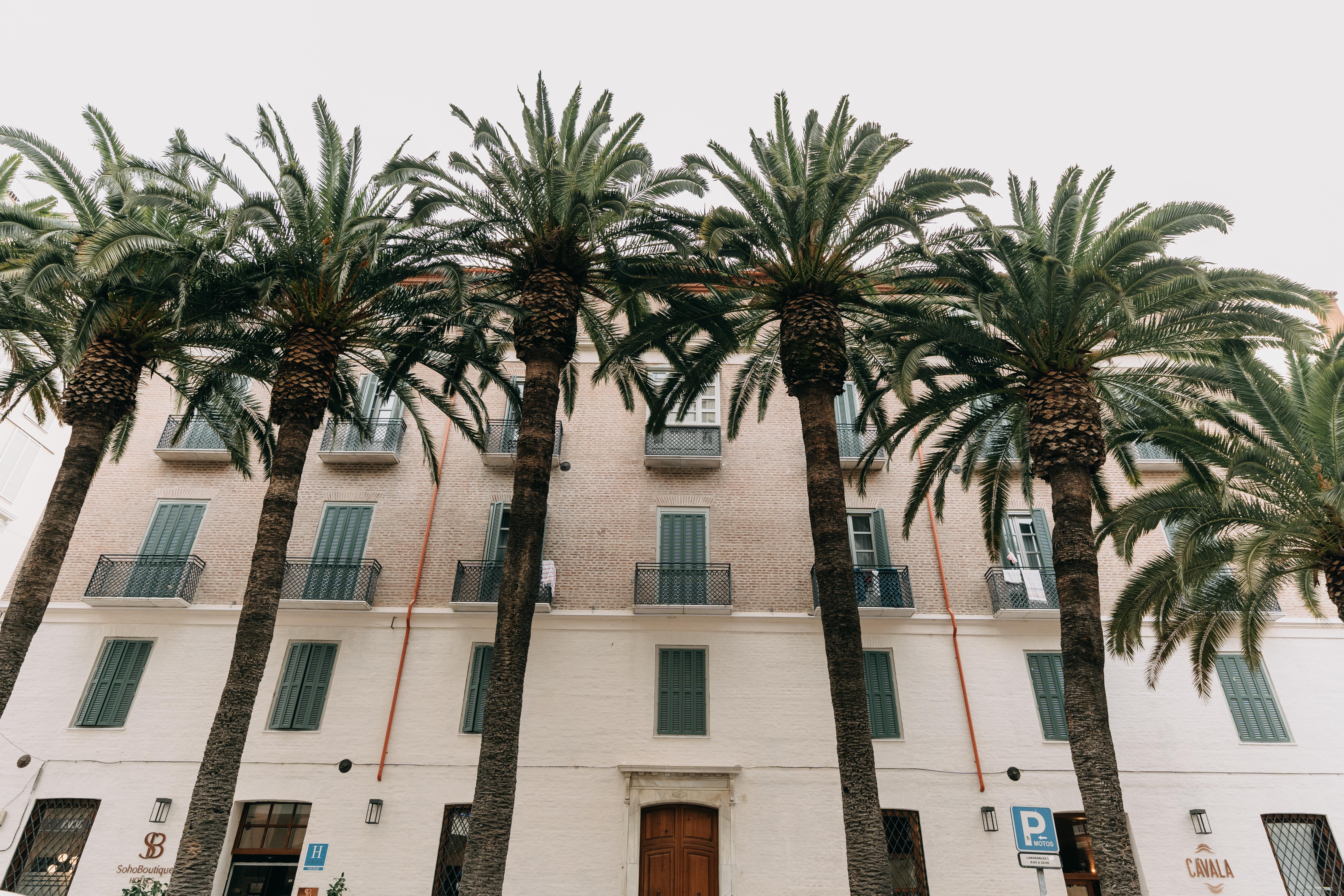 Hotel Soho Boutique Colón Málaga