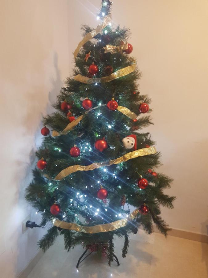Apartamento Gloria 2 *