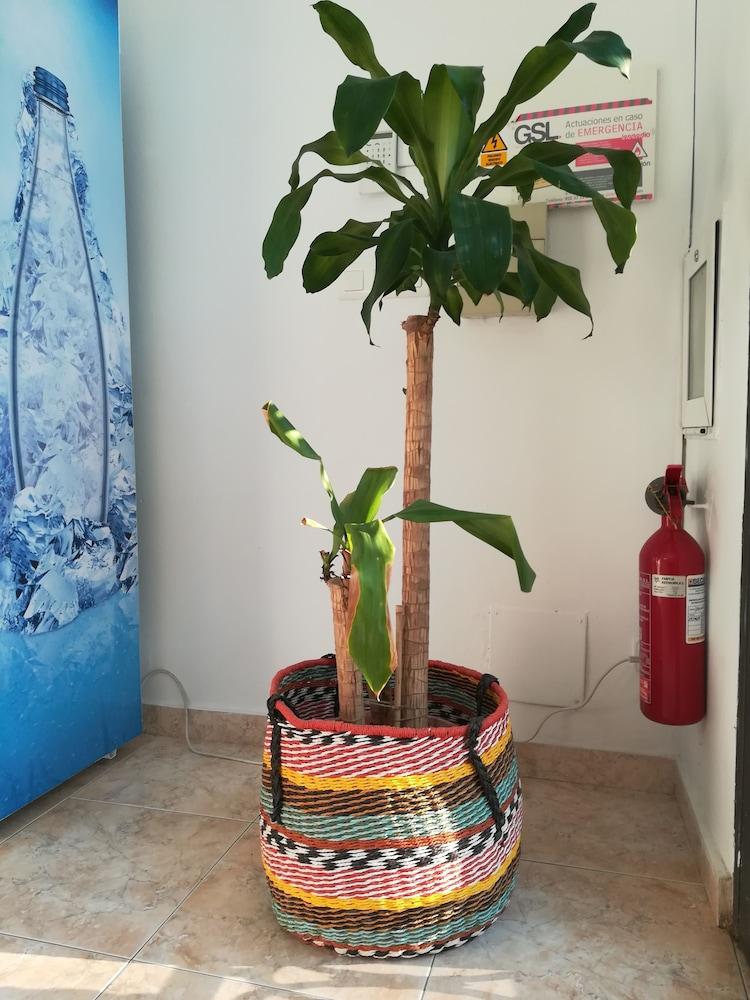Hostal La Moraga De Poniente Málaga