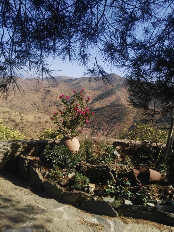 Pinar El Almendra Сasa de vacaciones