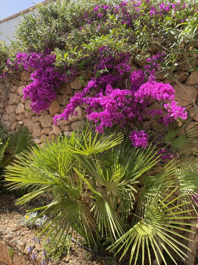 Terraced House In The Mountains With Fantastic View Сasa de vacaciones Málaga