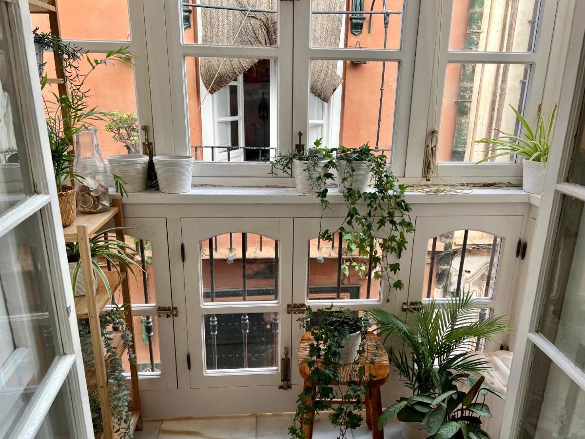 Iyourbasics Great Hinestrosa 23 Free Wifi&ac Malaga