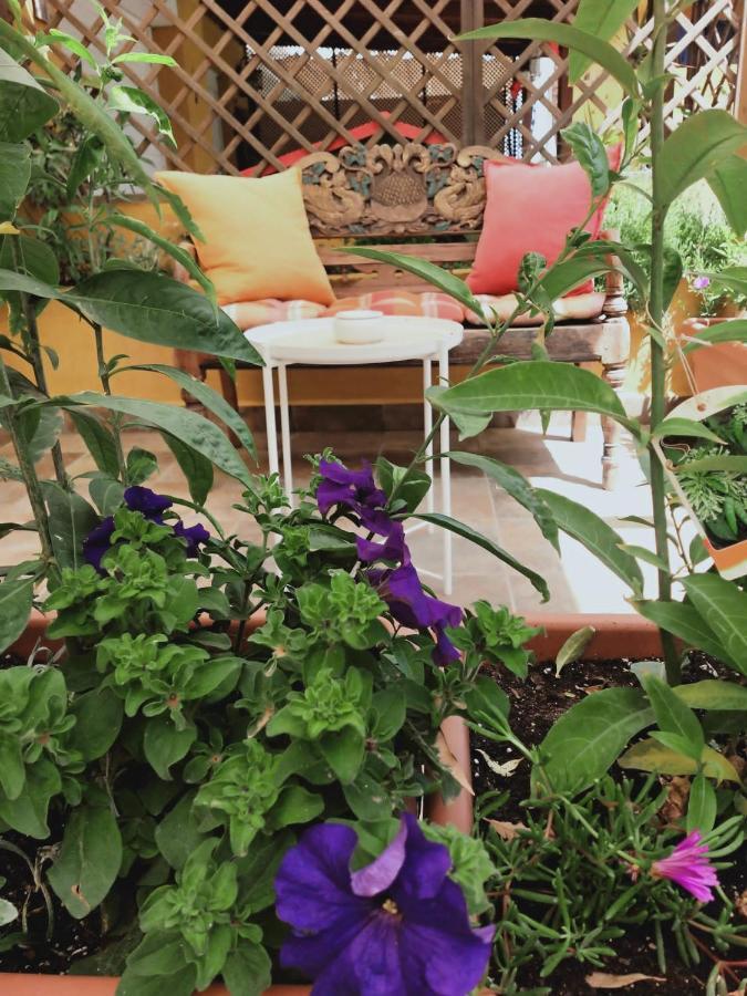 Bed and breakfast Dudi's Peppers *