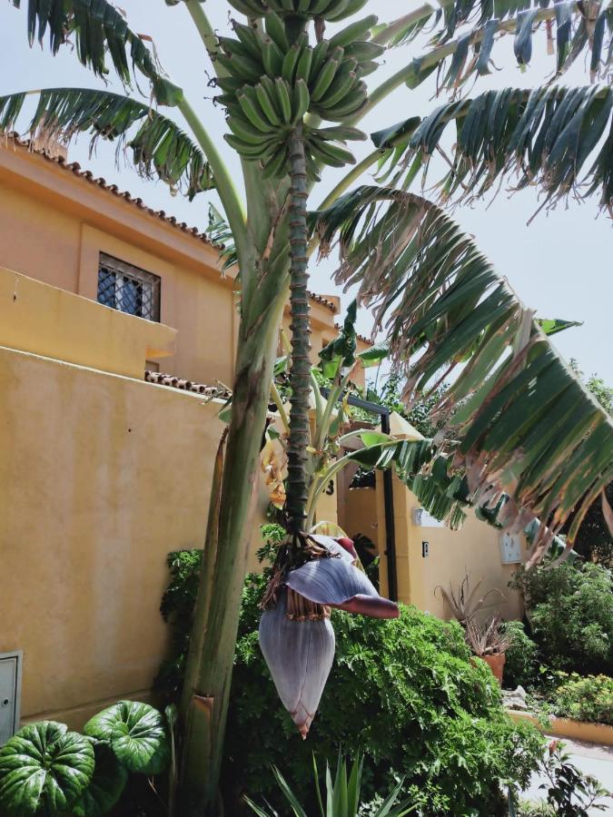 Dudi's Peppers Bed and breakfast *