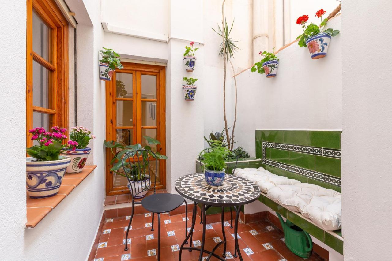 Apartment Bright With Patio And Balconies In The Center Malaga