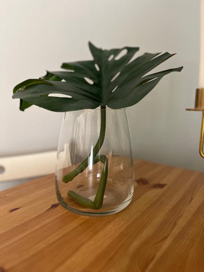 Apartamento Estudio Centrico Y Moderno En *
