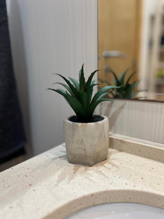Estudio Centrico Y Moderno En Apartamento Málaga