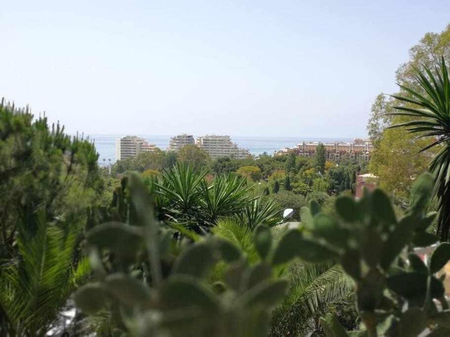 Apartment Sun In Benalmadena Malaga
