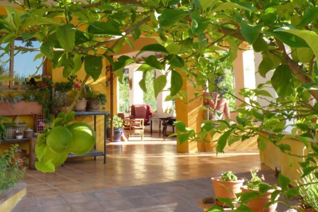 Casa Ganga, Holiday With Pool For The Whole Family *