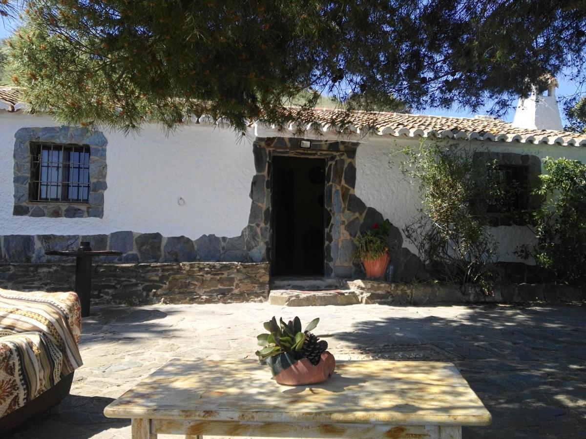 Pinar El Almendra * Málaga