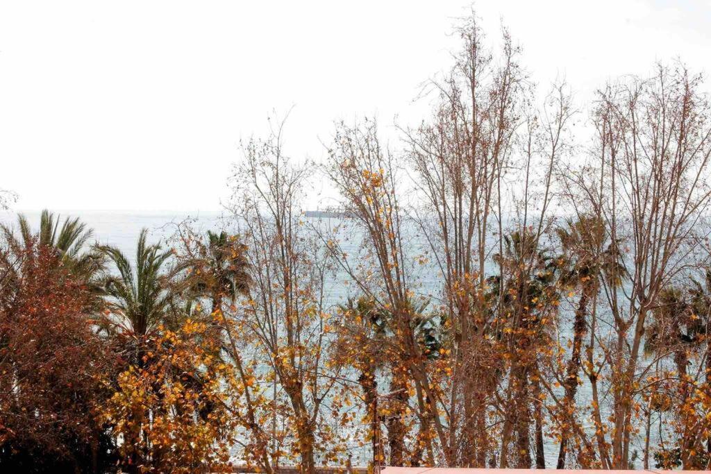 Casa Malaguena A Pie De Playa * Málaga