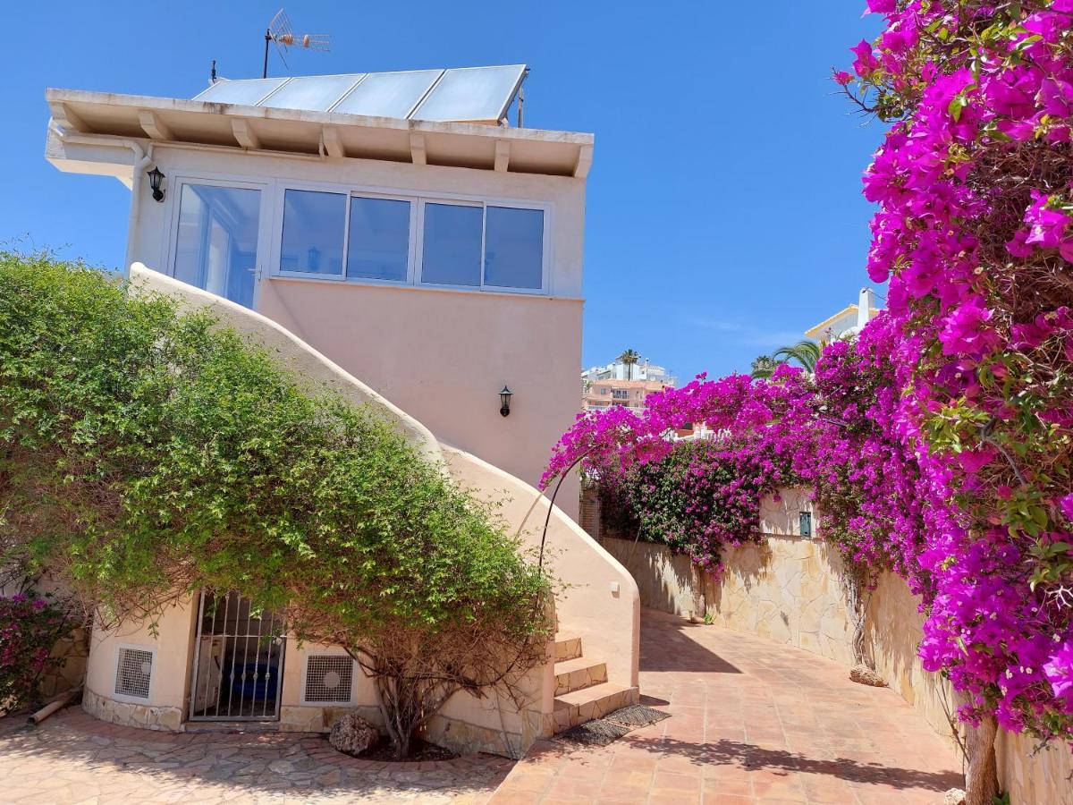 Bougainville Malaga