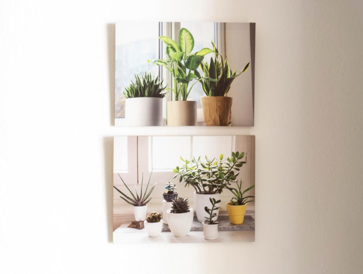 Apartamento Amatista *
