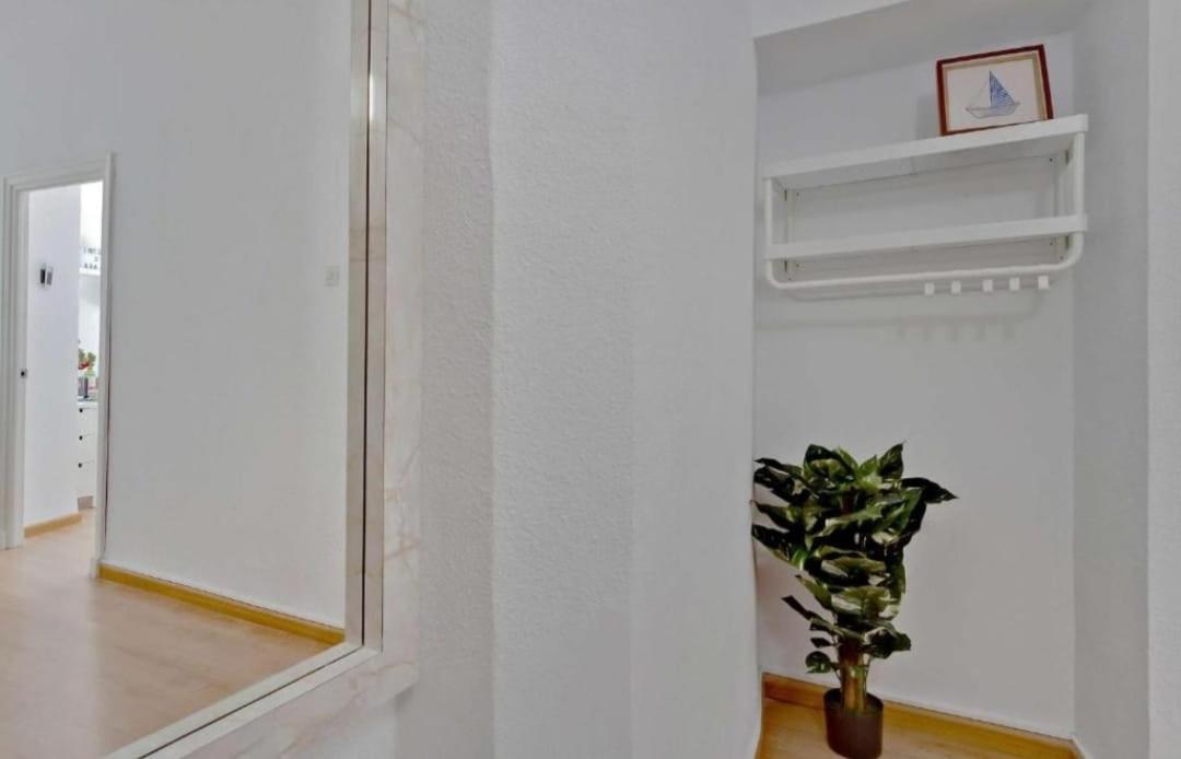 Magnifico Apartamento