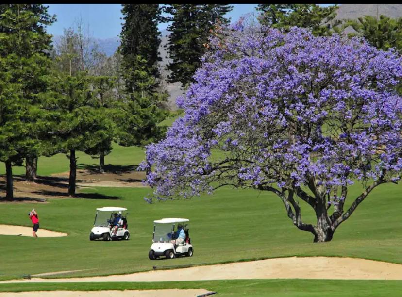 Vitania Ii Mijas Golf Apartamento *