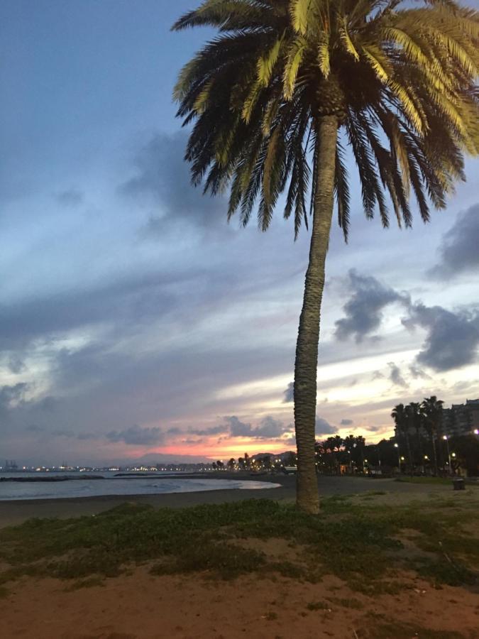 La Biznaga De El Palo Malaga