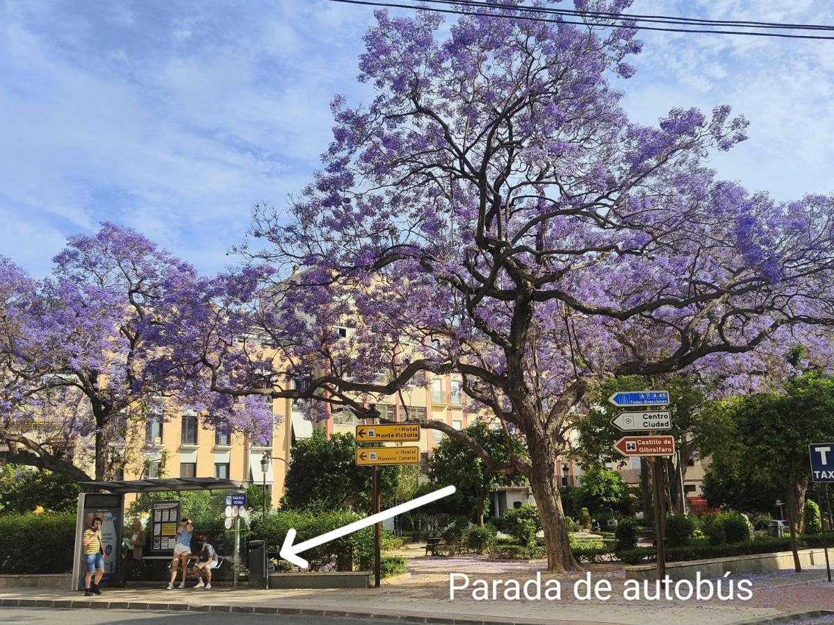 M&d Centro Apartamento *