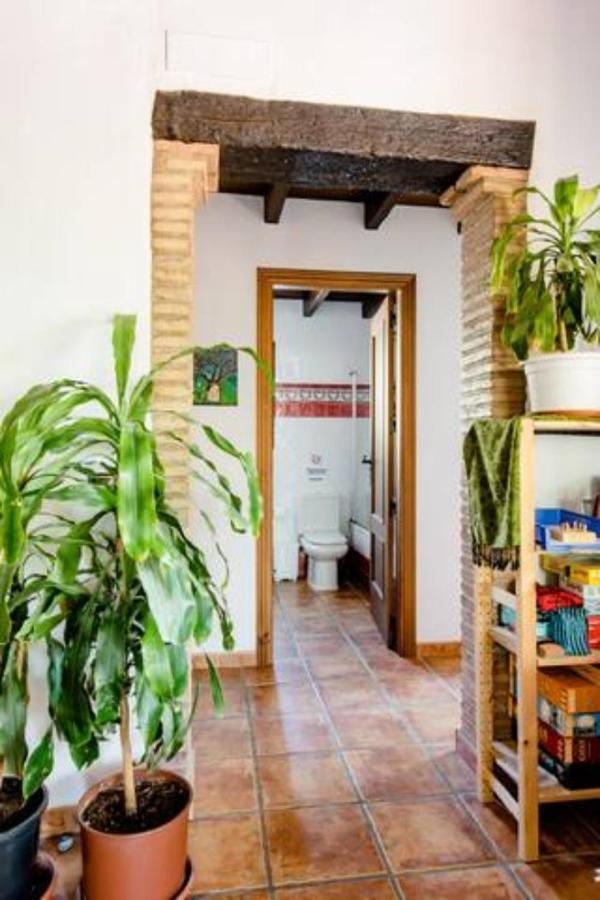 Villa Maravillosa La Alegria