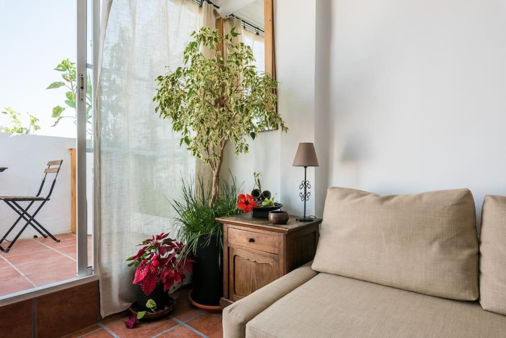 Penthouse Terrace Apartment Malaga