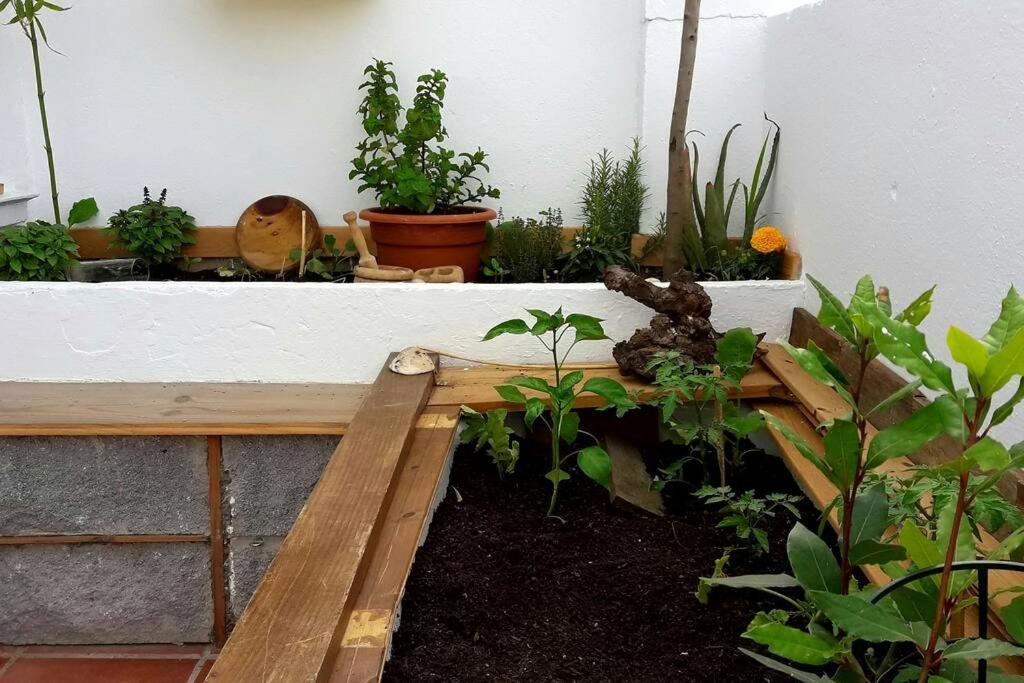 Penthouse Terrace Apartment Malaga