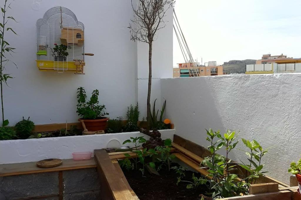 Penthouse Terrace Malaga