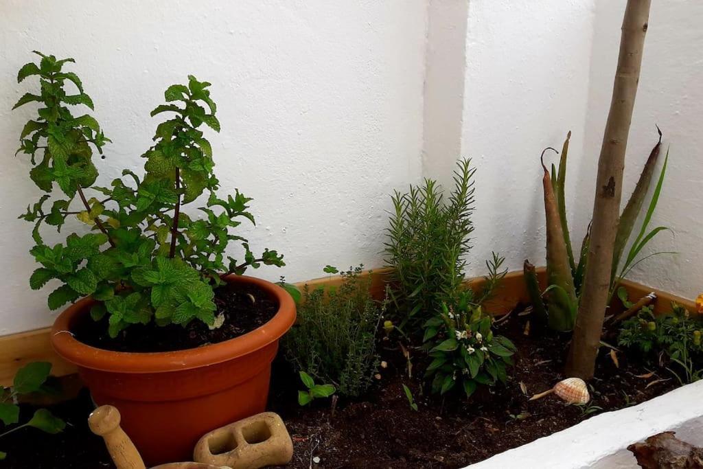 Penthouse Terrace * Malaga