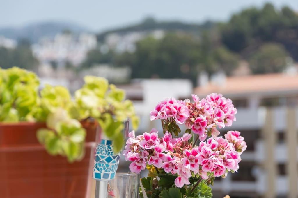Penthouse Terrace * Malaga