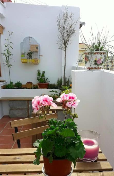 Apartment Penthouse Terrace *