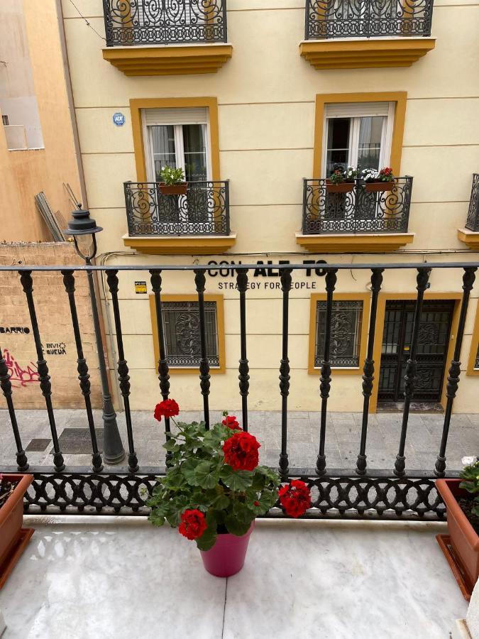 Apartamento Ancha Del Carmen *