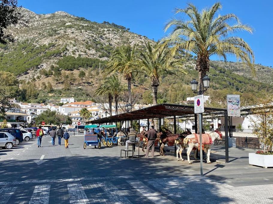 Higueronrentals Afrika * Malaga