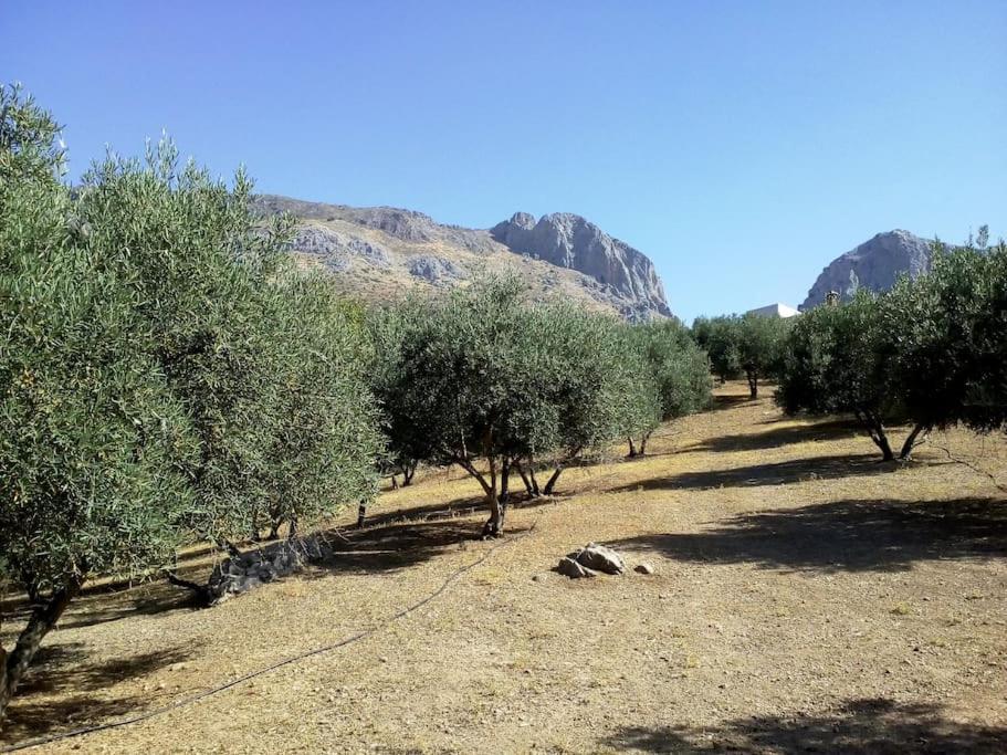El Ventorrillo La Alegria Málaga