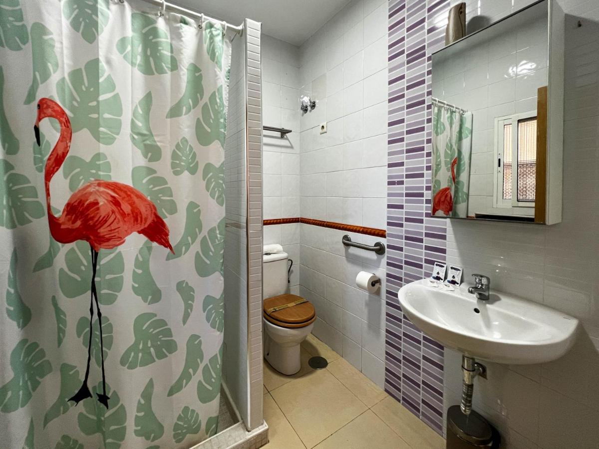 Apartment Caleta