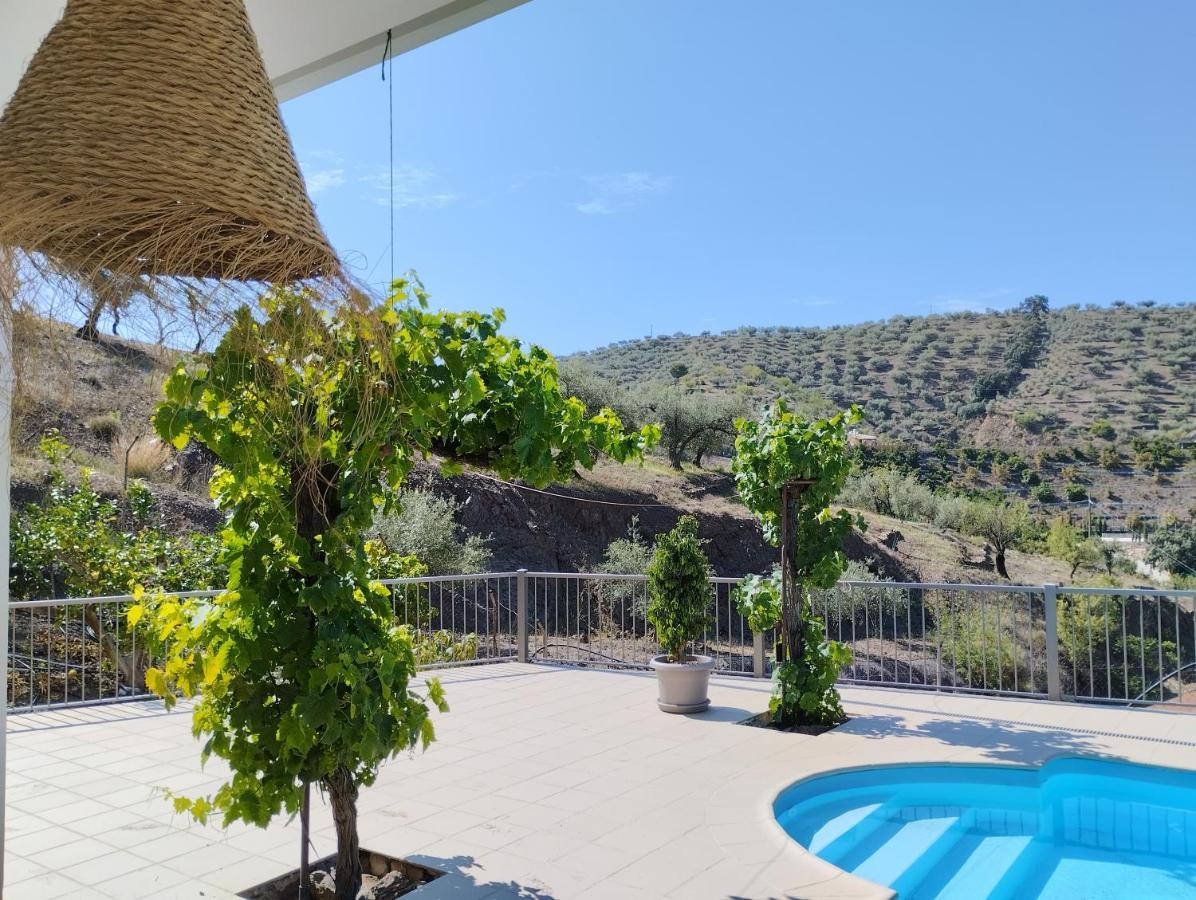 Villa Vinas *