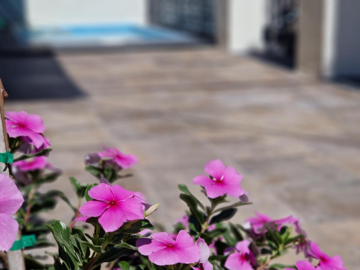 Villa Del Parque Flats Balneario De Pina Málaga