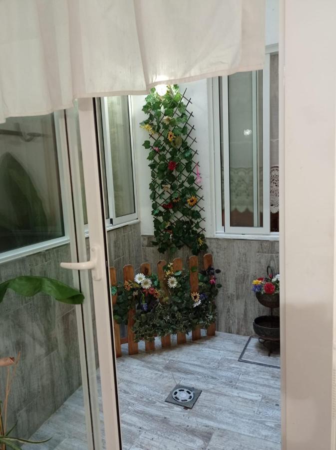 Apartment Center Flat *