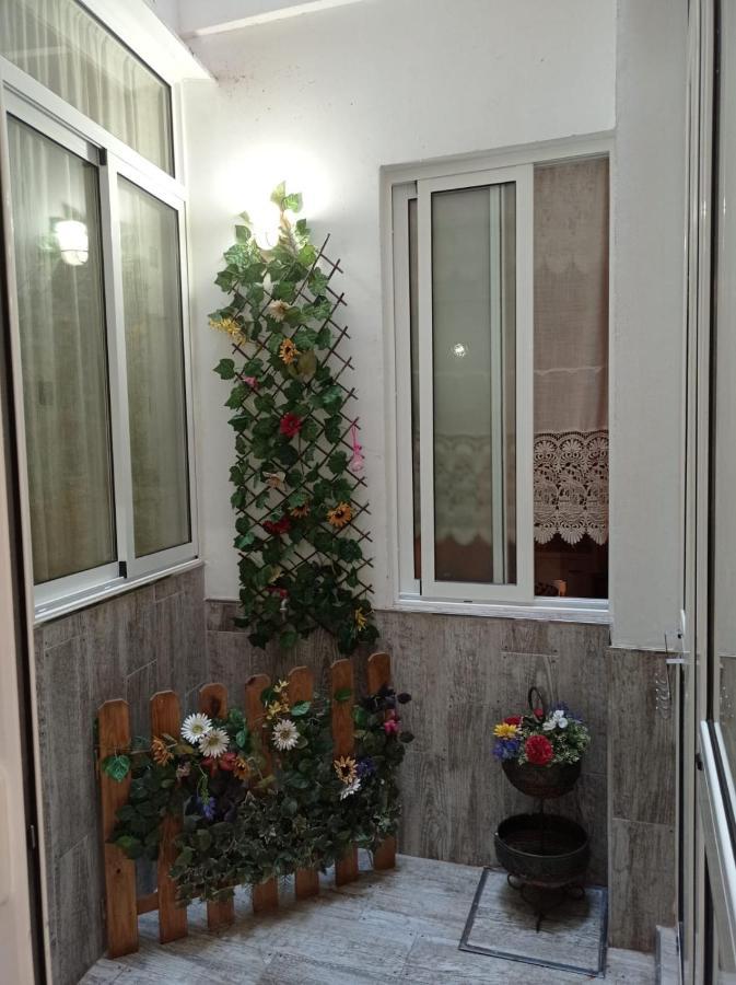 Apartment Center Flat