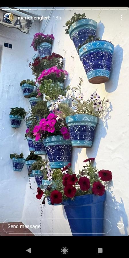 Mijas Pueblo Paradise Málaga