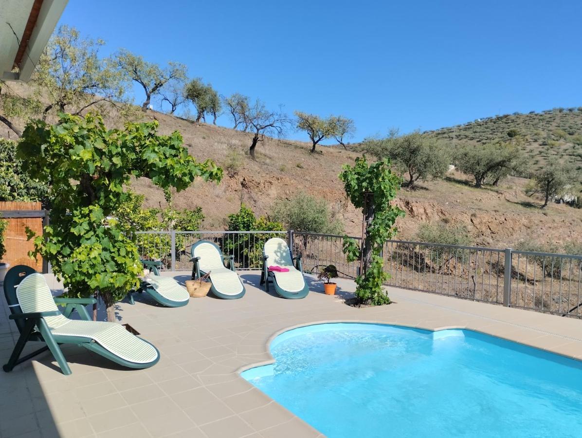 Vinas Villa Málaga